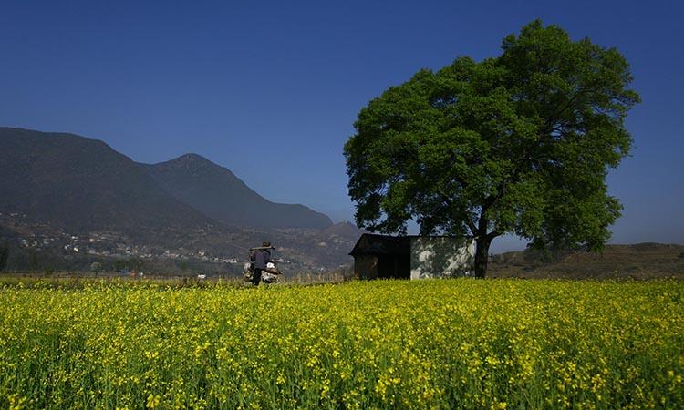 Representational - image