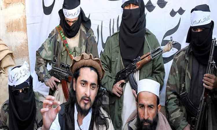 Anti-Pak-militants