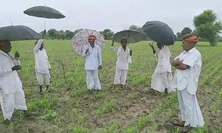 Rajasthan Farmers