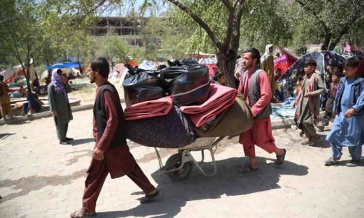 Afghans