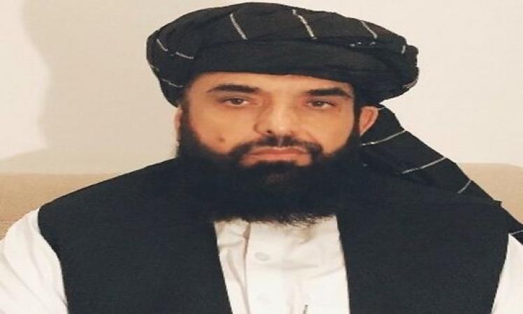 Suhail-Shaheen