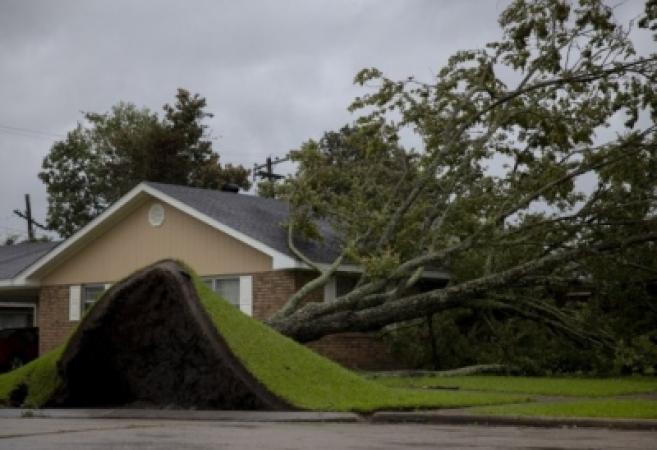 Hurricane-Ida-13-dead-in US'-Louisiana