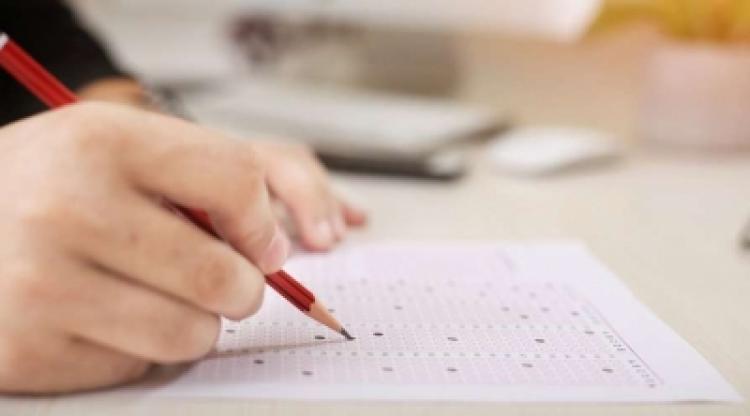 Brother-sister-duo-on-top-in-CA-final-exam