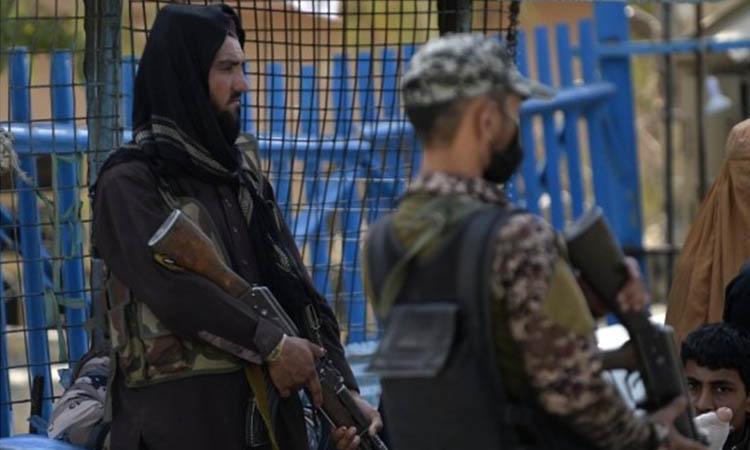 Taliban