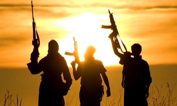 Terrorists