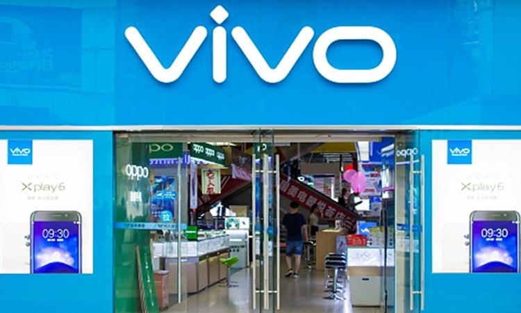 Vivo