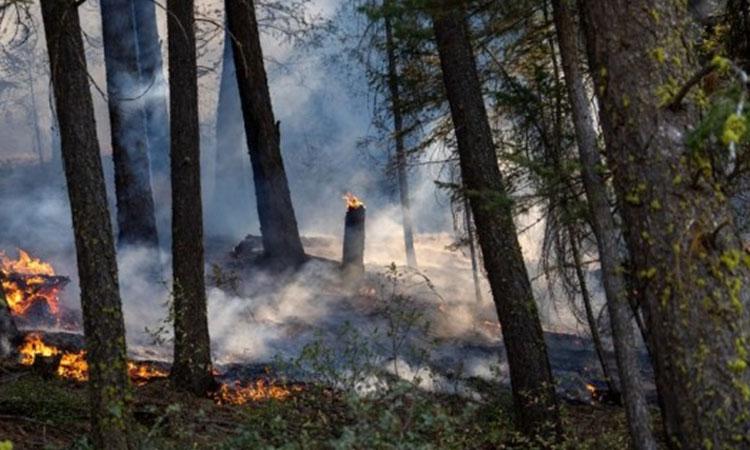 California-Wildfires
