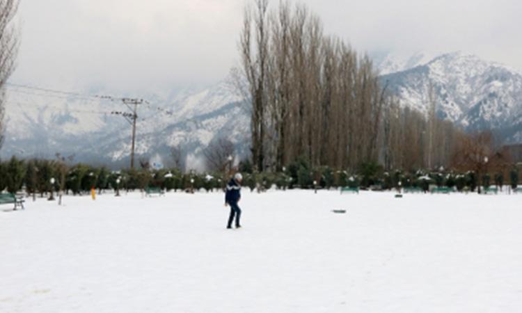 Srinagar