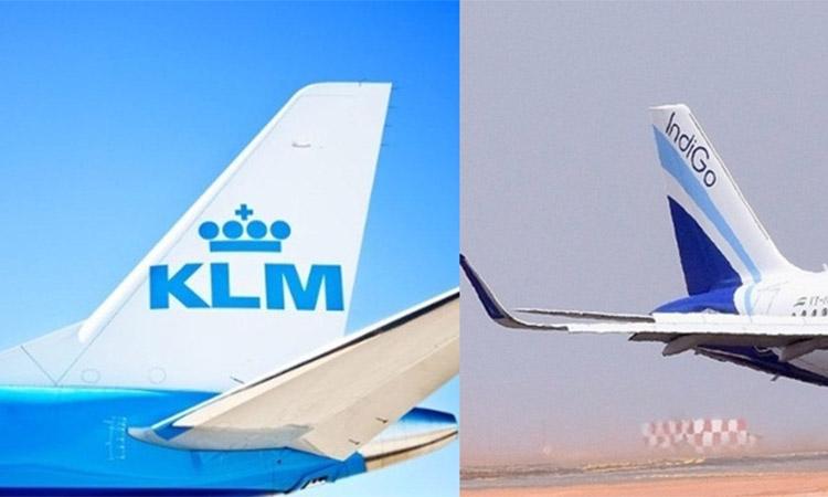 KLM-Indigo
