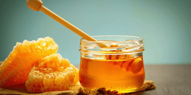 Indian-Honey-News