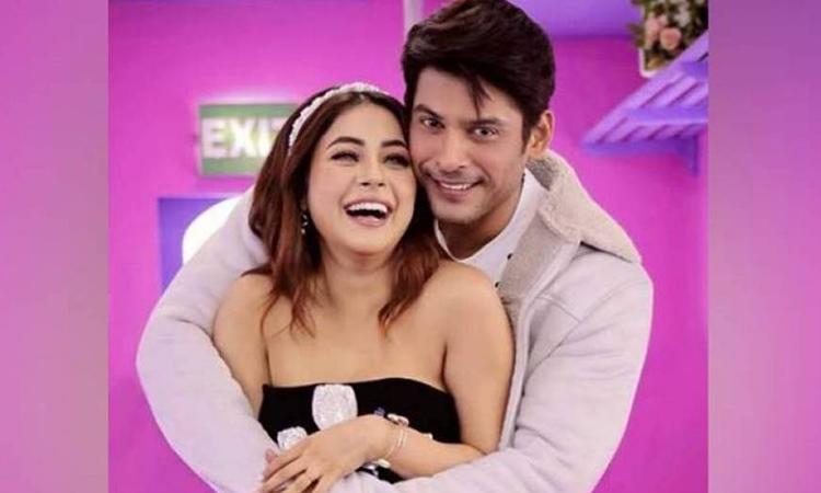 Sidharth-Shukla-Shehnaaz-Gill