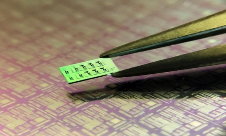 silicon-ased-quantum-chip