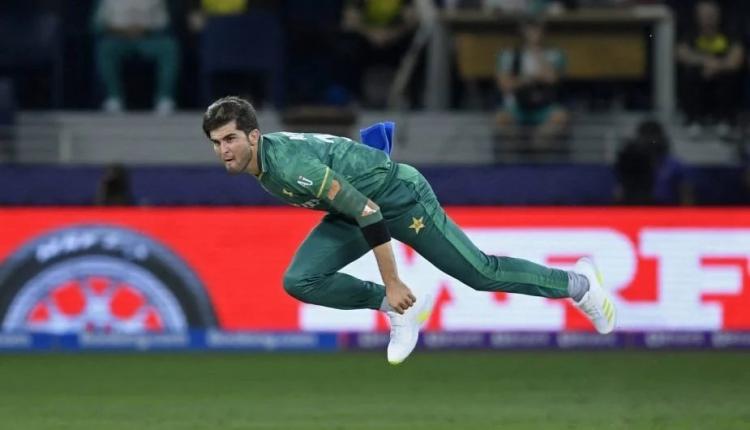 Shaheen-Afridi