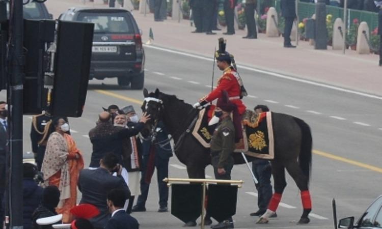 President's-Bodyguard-horse -'Virat'-retires-from-service