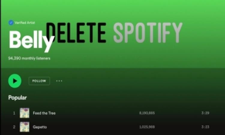 Delete-Spotify