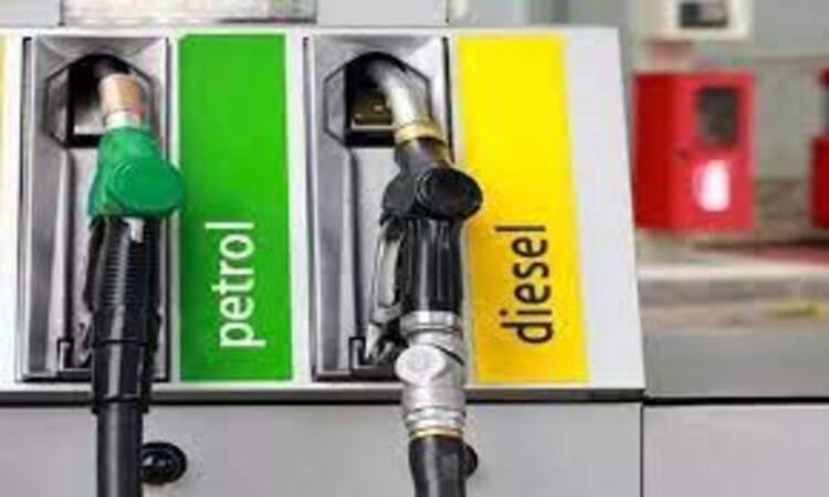 Excise duty cut on petrol, diesel provided relief to consumers: EcoSurvey