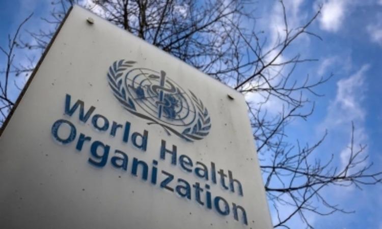 Europe may see 'long period of tranquillity' in pandemic: WHO