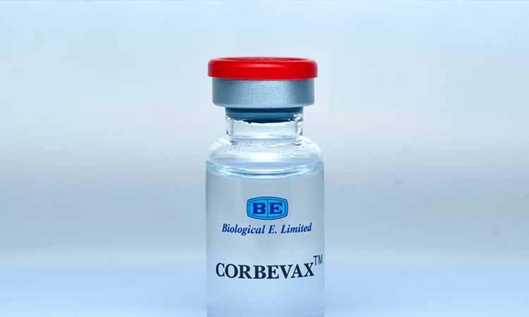 Corbevax-Covid