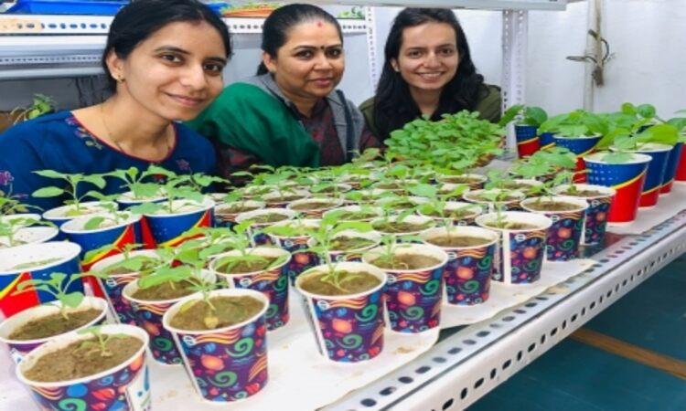bhu-scientists-discover-cancer-curing-plant