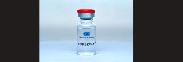 Corbevax-vax-to-cost-Rs-990-in-market-Rs-145-for-govt