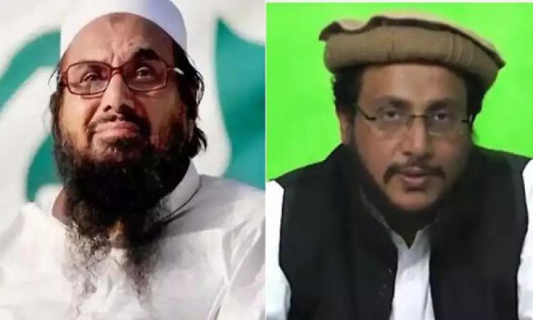 Hafiz-Talha-Saeed