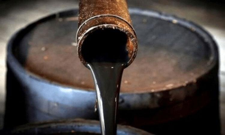 India's-fuel-crude-prices