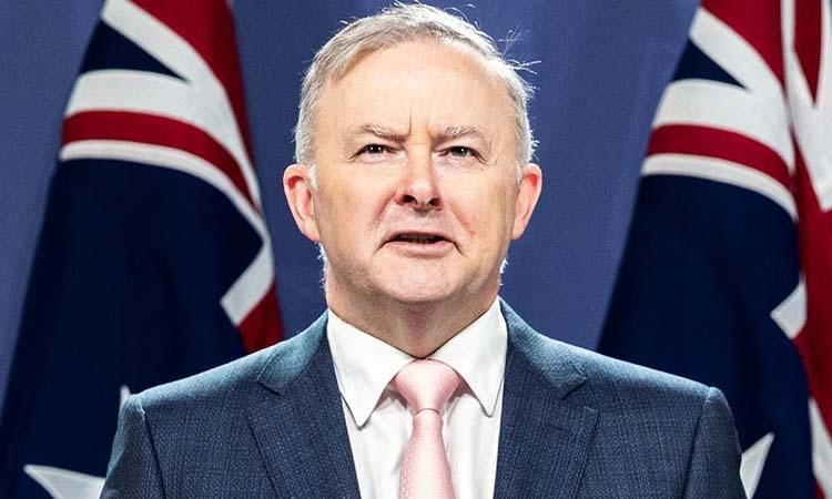 Labor-leader-Albanese