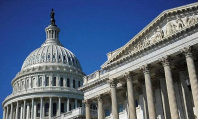 US-Congress-gun-law