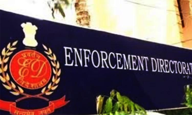enforcement-directorate