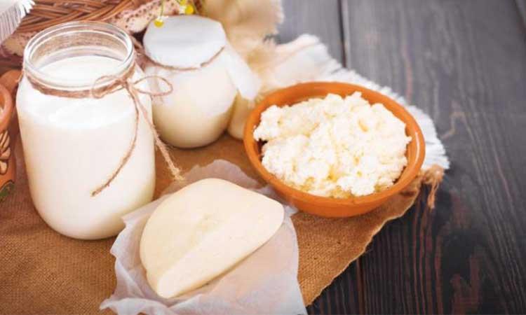 Curd, Paneer turn costlier by 5%, issues for retailers and manufacturers remain