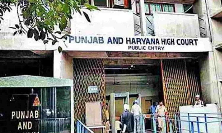 Punjab-Haryana-HC-Engineer