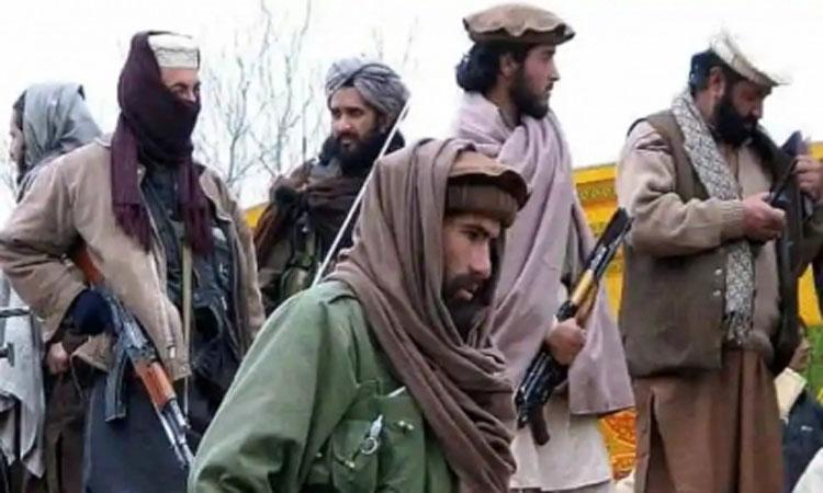Pakistan Taliban