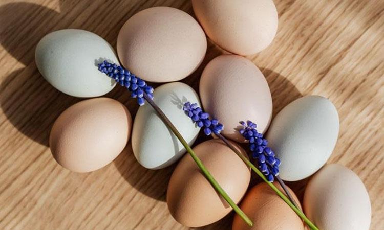 Eggs