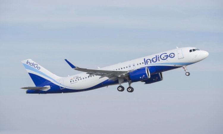 IndiGo-flight