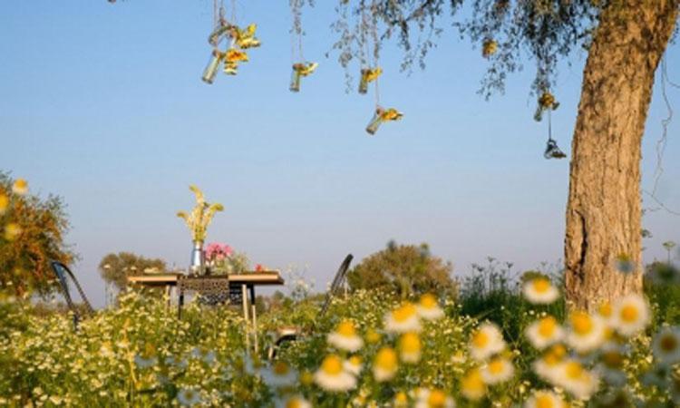 Natural-Farming