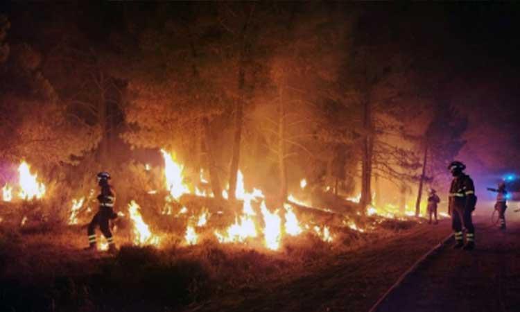 forest-fires-in-spain