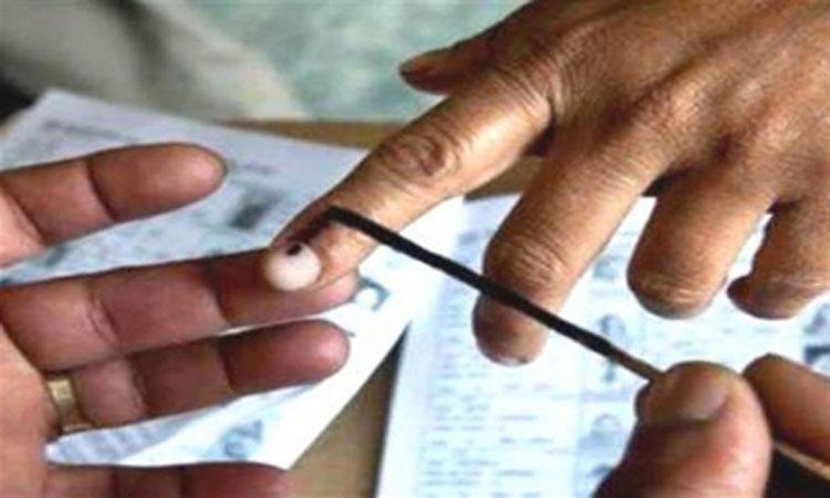 Jammu-Kashmir-assembly-elections