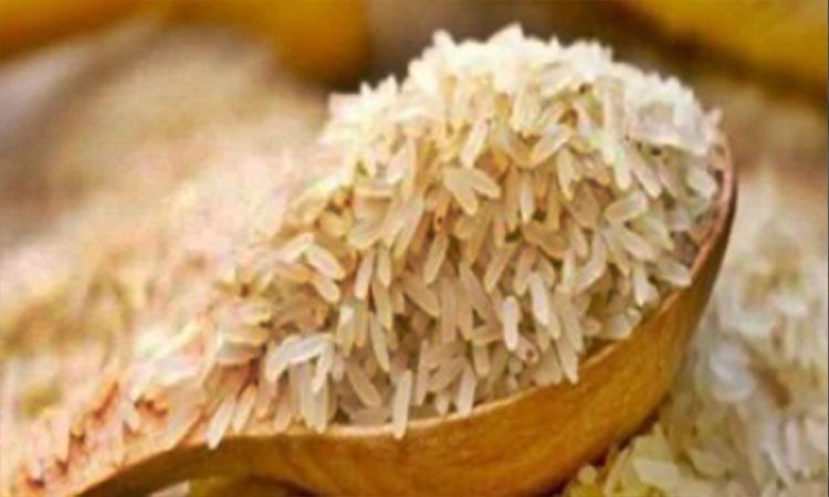 rice-export