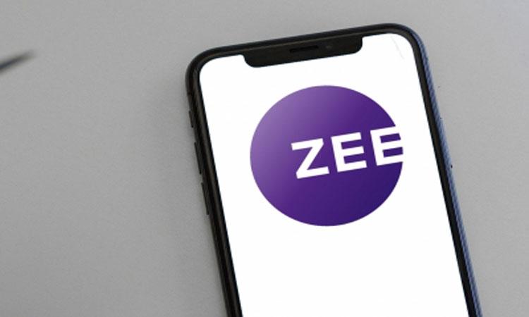Zee-Enterprises-Ltd