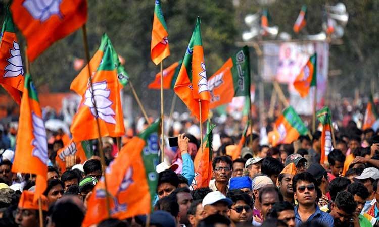 Bharatiya-Janata-Party-Flag