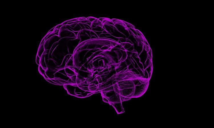 US-Brain-eating-Amoeba