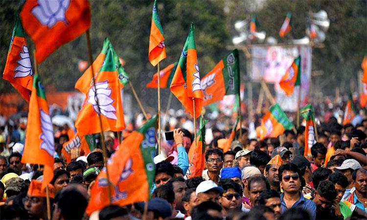Bjp-Flags