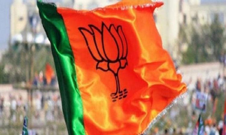 BJP-Flag