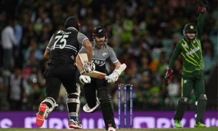 New Zealand-vs-Pakistan