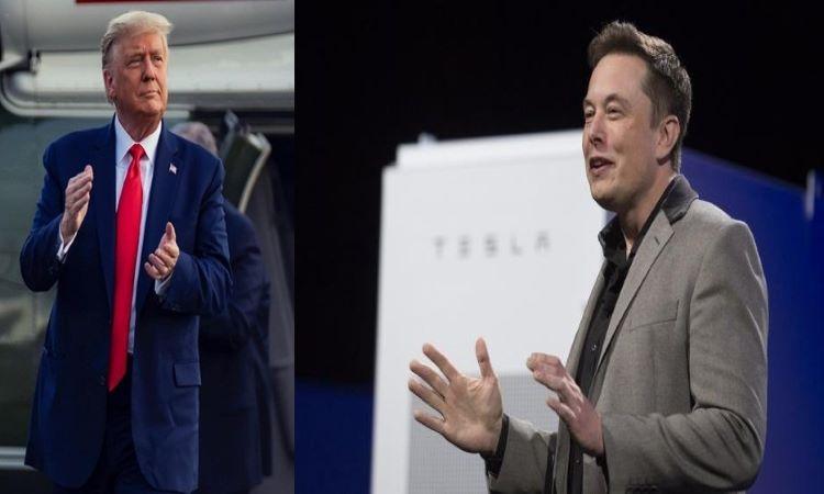 Donald-Trump-Elon-Musk