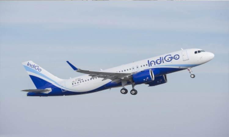 IndiGo-DGCA