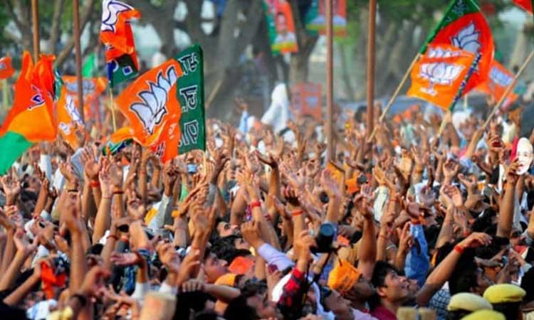 BJP-Flags