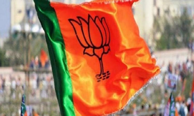 BJP Flag