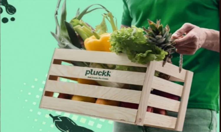Pluckk-app