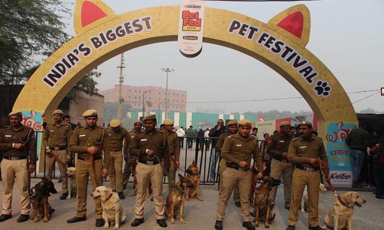 India's-Largest-Pet-Festival